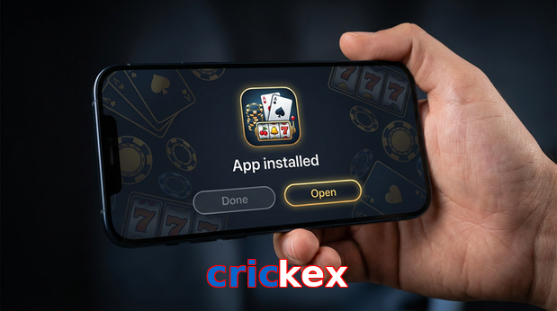 Payment and PKR controls in Crickex