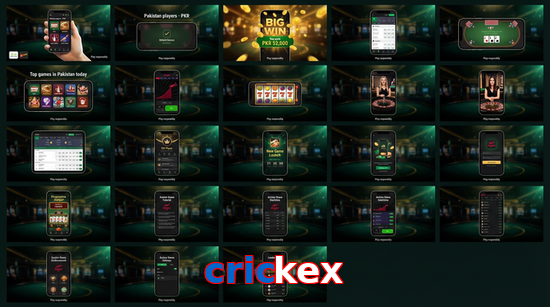 Main screen of Crickex bet page for PK players
